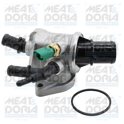 Thermostat, coolant